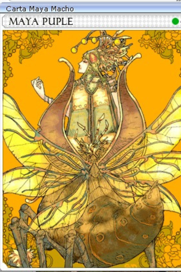 Carta Maya Macho - YGG
